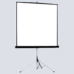 Экран Projecta на штативе Picture King 185x244см Matte White S (120") (PBSPK020)