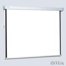 Экран Projecta с электроприводом Elpro Electrol wide 173x300см, Matte White M (133") (PSEEW004)